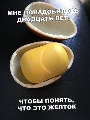 E91C2F6E-6AFA-448B-B11D-B67E97C7C605.jpeg