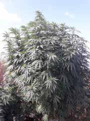 20190905_103540.jpg