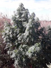 20190905_103627.jpg