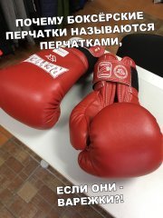 29914946-F9FE-448D-B5C3-CF7B25B0B8DD.jpeg