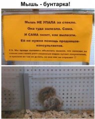 A36DB423-7D3C-46B9-A0CD-E5F61ECFCEE7.jpeg