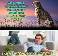 DFCB9081-8897-4073-9CE7-E47D83B67592.jpeg