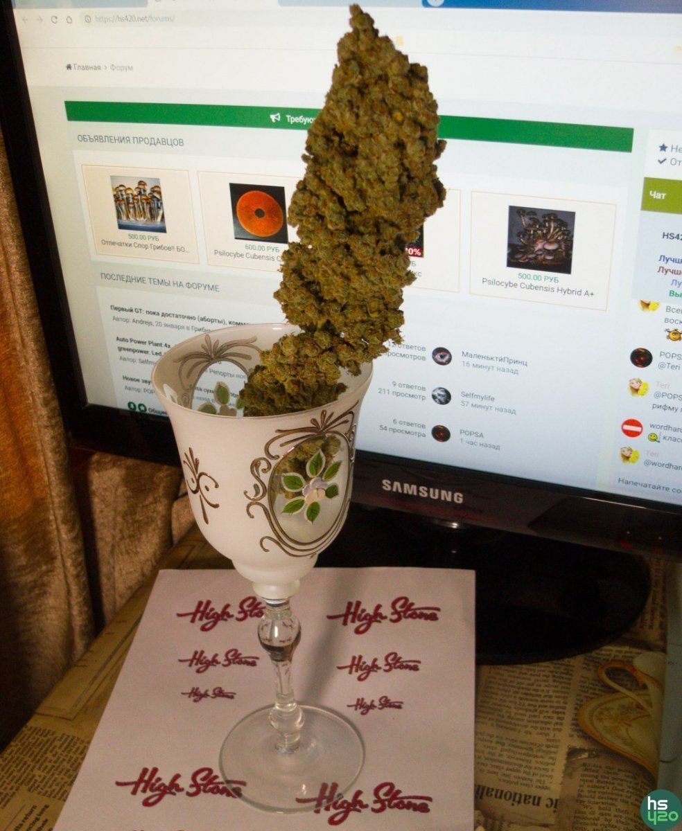 Chocolope 
