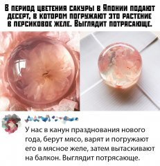 7E30E22B-4C1D-4648-AF8D-E9778A7D2B74.jpeg