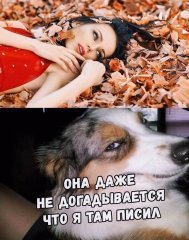 CE6D6A14-7EE8-4CCA-8A4D-DC7B54C3EA4A.jpeg
