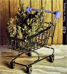 time to shoping))