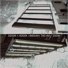 LED to  SunRay ™