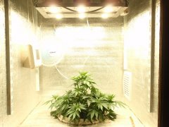 Лампа в работе
