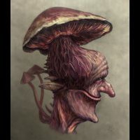 Shroomovoi