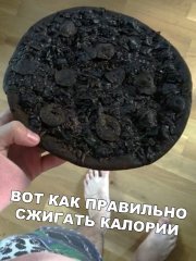 F061EB0A-6776-4F0A-9741-2AAD4E952248.jpeg