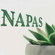 Daynapas