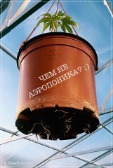 АЭРОПОНИКА ;)))
