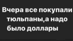 B7C78605-8E4A-4ECA-8E6B-ADF1DFFD31B8.jpeg