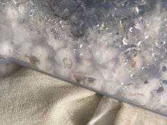 IMG_20200312_130838.jpg