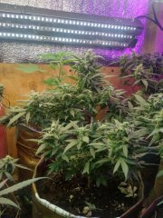 IMG_20200401_224120_HDR