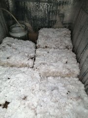 IMG_20200426_205228.jpg