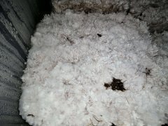 IMG_20200426_205346.jpg