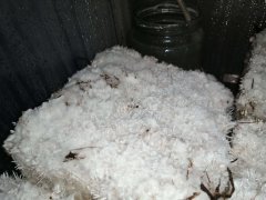 IMG_20200426_205407.jpg