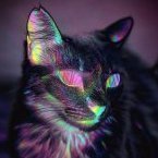 TheOddSideOfTheMoon