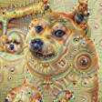 dnmqweed