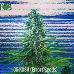 OG KUSH
