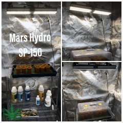 MarsHydro sp-150