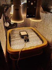 luxometer.jpg