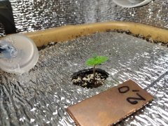 IMG_20200614_100255.jpg