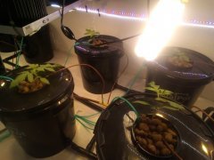 IMG_20200717_221716.jpg