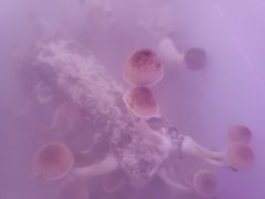 20200822_084651.jpg