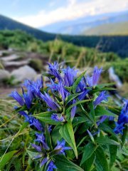 20200903_102737.jpg