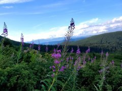 20200903_102820.jpg