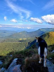 20200903_103742.jpg