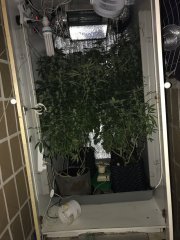 Как давно это было :)