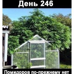 IMG_20200709_161447.jpg