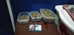 IMG_20201005_193748.jpg