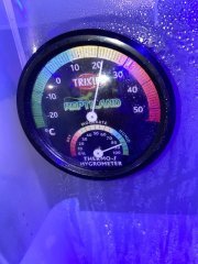 IMG_20201010_125306_660.jpg