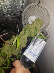 20201104_000514[1]