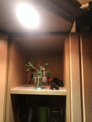 клон-вид