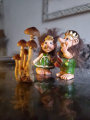 20201124_084602.jpg