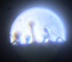 3818A70A-702C-46E9-B1E8-3B83B83E9DC5.jpeg
