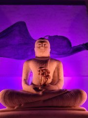 IMG_20210206_001351_378.jpg