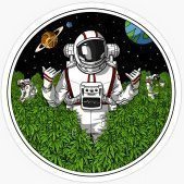 cannabbinol
