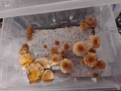 IMG_20210423_184753.jpg