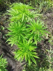 Kdh-Frtz_20210531_141121.jpg
