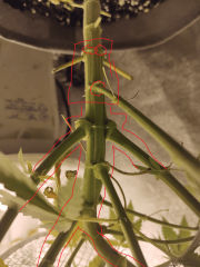 e52ab3e8b.png