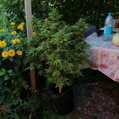 IMG_20210905_183718.jpg