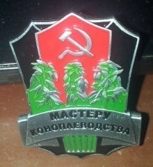 значок).jpg