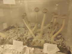 IMG_20211027_201348.jpg