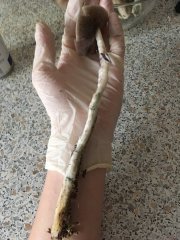 чудо пролезло с самого дна монотуба (2).jpg